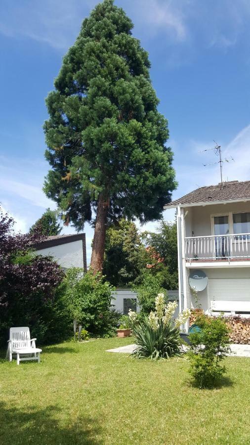 Ferienwohnung Schlossblick เบนส์ไฮม์ ภายนอก รูปภาพ